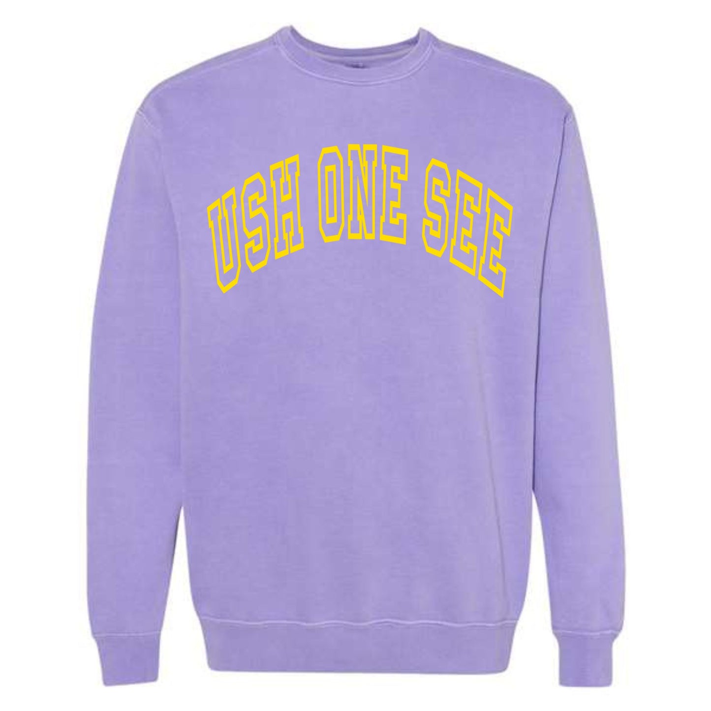 Ush One See Arc Sweatshirt Vintage Colors