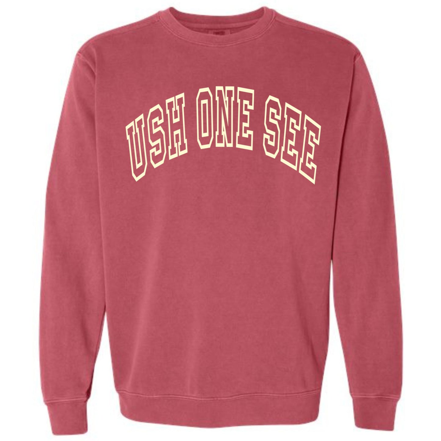 Ush One See Arc Sweatshirt Vintage Colors